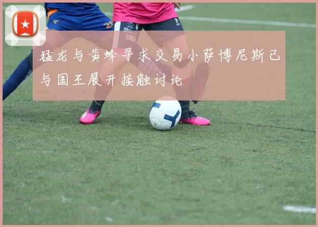 猛龙与黄蜂寻求交易小萨博尼斯已与国王展开接触讨论